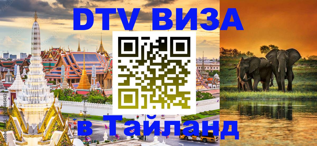 Сколько стоит DTV виза — актуальные цены, оформление даже без документов - 